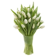 KaBloom NEXT DAY DELIVERY - Fall Collection - 20 White Tulips (Farm-Fresh Flowers, Cut-to-Order, and Homegrown in the USA) Gift for Birthday, Anniversary, Get Well, Thank You, Valentine, Mother's Day