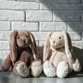 thumbnail image 5 of Cute Bunny Stuffed Animal Rabbit Plush Toy, Easter Basket Essential Soft Plush Toys for Baby Kids Girls Women, Ideal Birthday Gift, 5 of 8