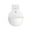 C, variant on Vikakiooze Home Decor Wall-Mounted Pot Hydroponics Flower Pot Wall Hanging Fish Tank Hanging Vase