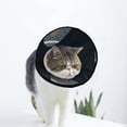 thumbnail image 1 of Collier de Récupération pour Chat et Chien, Cône Ajustable, Protection après Chirurgie pour Chiot, 1 of 7