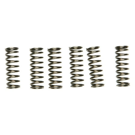 EBC- CSK Series Heavy Duty Clutch Spring Kit