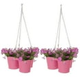 thumbnail image 1 of 8117E HPK S-2 Jardinière Suspendue Triple Émaillée Galvanisée - Ensemble de 2, 1 of 1