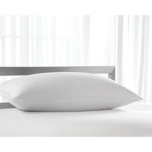 hollander latex pillow
