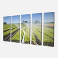 thumbnail image 2 of Beautiful View of Crops Watering - Landscape Canvas Art Print, 2 of 3