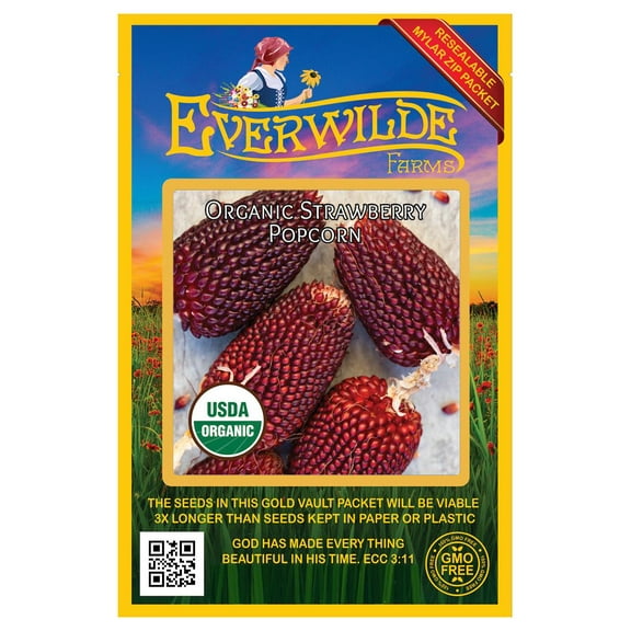 Everwilde Farms - 50 Organic Strawberry Popcorn Seeds - Gold Vault Jumbo Bulk Seed Packet