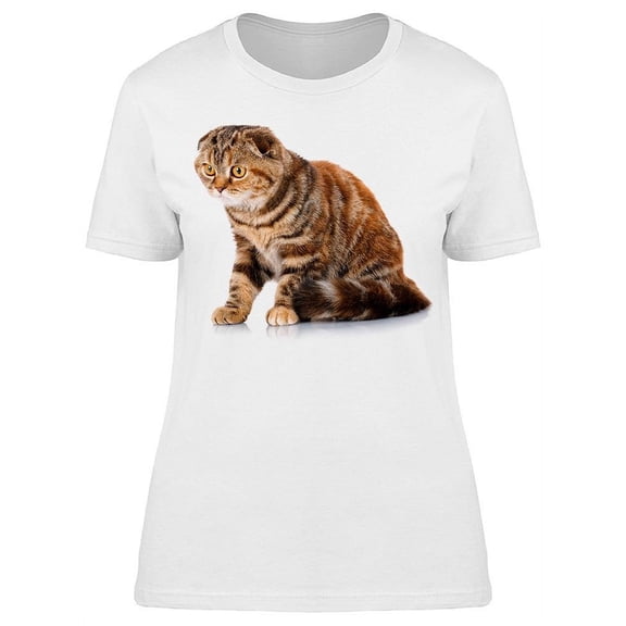 Angry Cat With Lost Look T-Shirt Women -Image by Shutterstock Women T-Shirt, Female Small