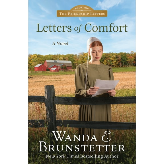 Pre-Owned Letters of Comfort: Volume 2 (Paperback) 1636094872 9781636094878