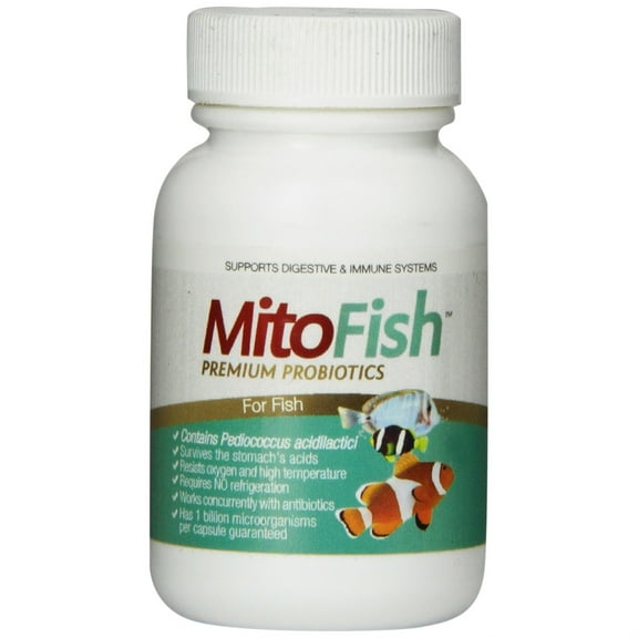 MitoFish-patented plant based premium premium probiotic for oramental fish, 15 capsules