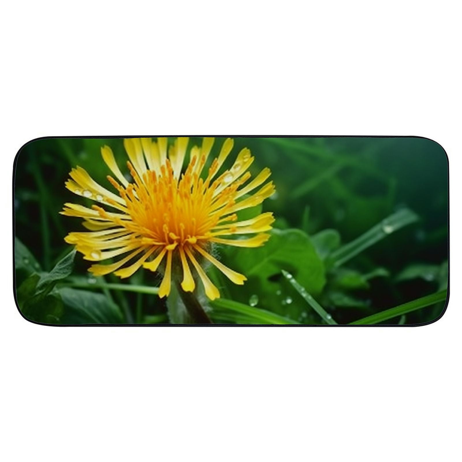 Heduofu Decorative Door Mat, Door Mat with Non-Slip Rubber Backing, Easy Cleaning, Traps Dirt, Rug for Entry, Patio, Garage  - Flower Blossom Bloom Plant Close Spring 19.68*47.24 in