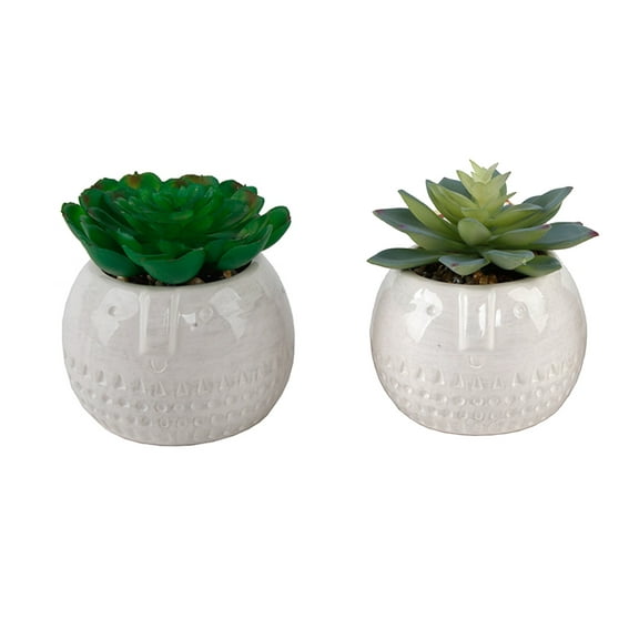Flora Bunda Set of 2 Artificial Succulents in 4" Ceramic Face Planters