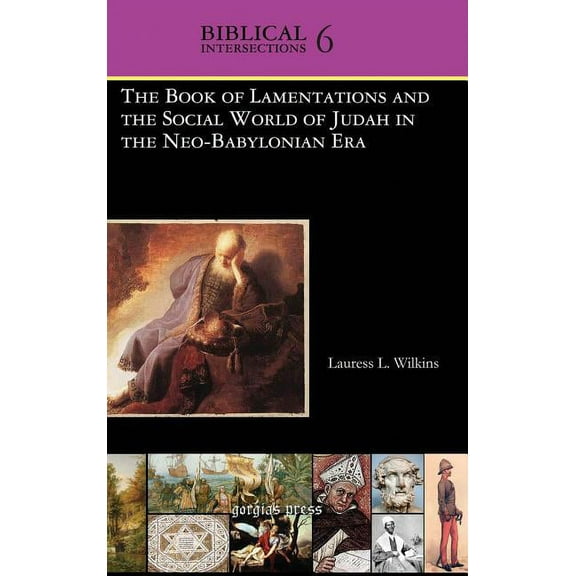 Biblical Intersections: The Book of Lamentations and the Social World of Judah in the Neo-Babylonian Era (Hardcover)