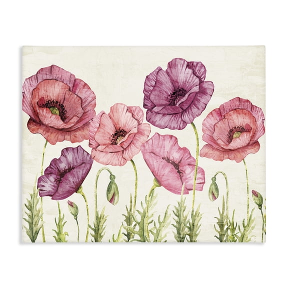 Stupell Industries Poppy Days Vintage Blooms Canvas Wall Art, design by Kim Allen