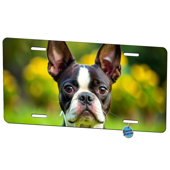 Boston Terrier Dog Photo Metal Novelty License Plate