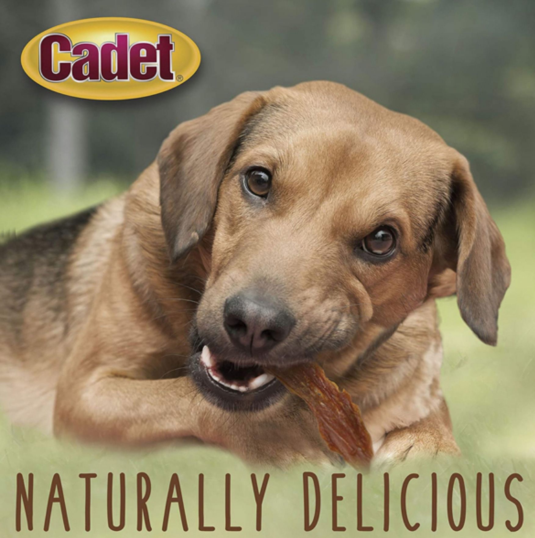 2 Pack Cadet Gourmet Duck Breast Treats for Dogs [Dog Meat and Jerky Treats, New Dog Supplies, Bulk Dog Supplies, Cadet] 6 oz (2 x 3 oz)