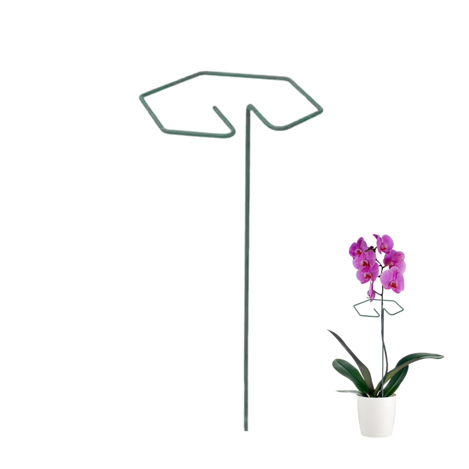 Plant Stake Support, Garden Single Stem Support Stake Plant Rings