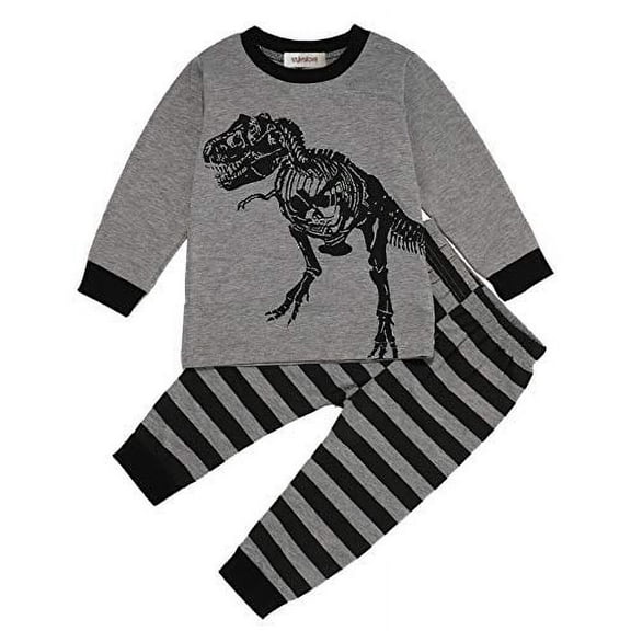 StylesILove Baby Toddler Boys Grey Dinosaur T-Shirt and Stripe Pants 2pcs Long Sleeve Cotton Outfit (100/2-3 Years)