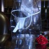 Hombres Elástico Cintura baja Bulge Elefante Ropa interior Tangas G String T Back Sexy Breve ShuxiuWang 8390614242449