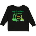 thumbnail image 3 of Inktastic Grandma Grandpa Love Me Dinosaurs Boys Long Sleeve Toddler T-Shirt, 3 of 5