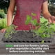 thumbnail image 4 of Kit de iniciación de semillas de 10 paquetes, bandejas de plántulas de 72 celdas, bandejas de cultivo de germinación para jardinería, kit de cultivo de plantas, 4 of 5