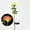 Yellow64, variant on Iumwxz Solar Rose Flower LED Garden Light with Automatic Dusk to Dawn Lighting, IP55 Waterproof Solar Panel for Outdoor Yard Patio Pathway Decoration