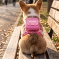 thumbnail image 3 of 2‑in‑1 Dog Harness Backpack With Leash, Reflective Adjustable Anti‑Pull Vest With Storage Pouch, Breathable Outdoor Walking Gear For Small Dogs, 3 of 7
