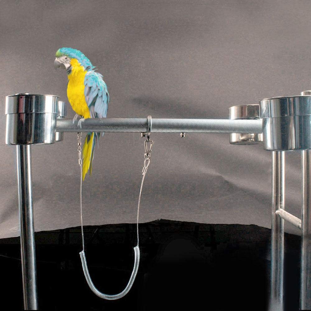 parrot ankle leash