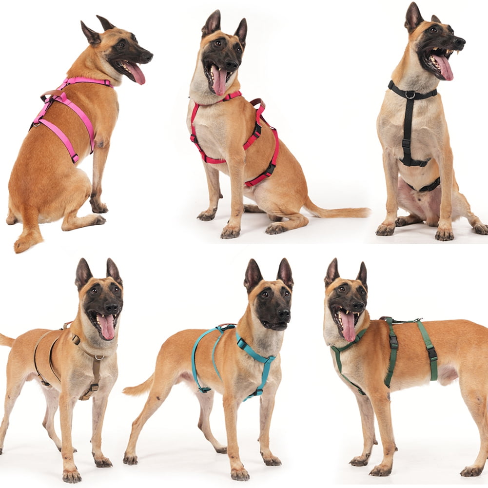 Escape Proof Dog Harness, No Pull Harness with Lift Handle, Adjustable Pet Vest with Front and Back Leash Clips for Medium Large Dogs Walking Hiking Training