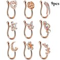thumbnail image 2 of Bangcool Fake Nose Cuff Rhinestone 9PCS Mini Non Piercing Faux Nose Ring Ear Clip Jewelry, 2 of 6