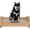 Pine Wood, variant on Elevated Dog Beds Frame with Mattress, Raised Wood Pet Bed Sofa Indoor for Large Medium Small Dogs Cats