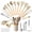 Khaki, variant on Silicone Cooking Utensils Set, Kitchen Utensils Set 38 Pcs for Cooking, Nonstick Kitchen Utensils Cookware Set Spatula Set, Black