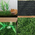thumbnail image 6 of CRAPELLES Small Glass Frog Black Terrarium Kit, 7.8x7.8x5.9'' for Tadpole, Amphibians, Insects Enclosure (excluding Animals), 6 of 7