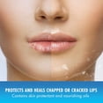 thumbnail image 2 of Bálsamo Labial Mentholatum Natural Ice SPF 15 Original, 2 of 8