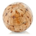 thumbnail image 1 of Abolla Sphère Osseuse Bosselée, 1 of 1