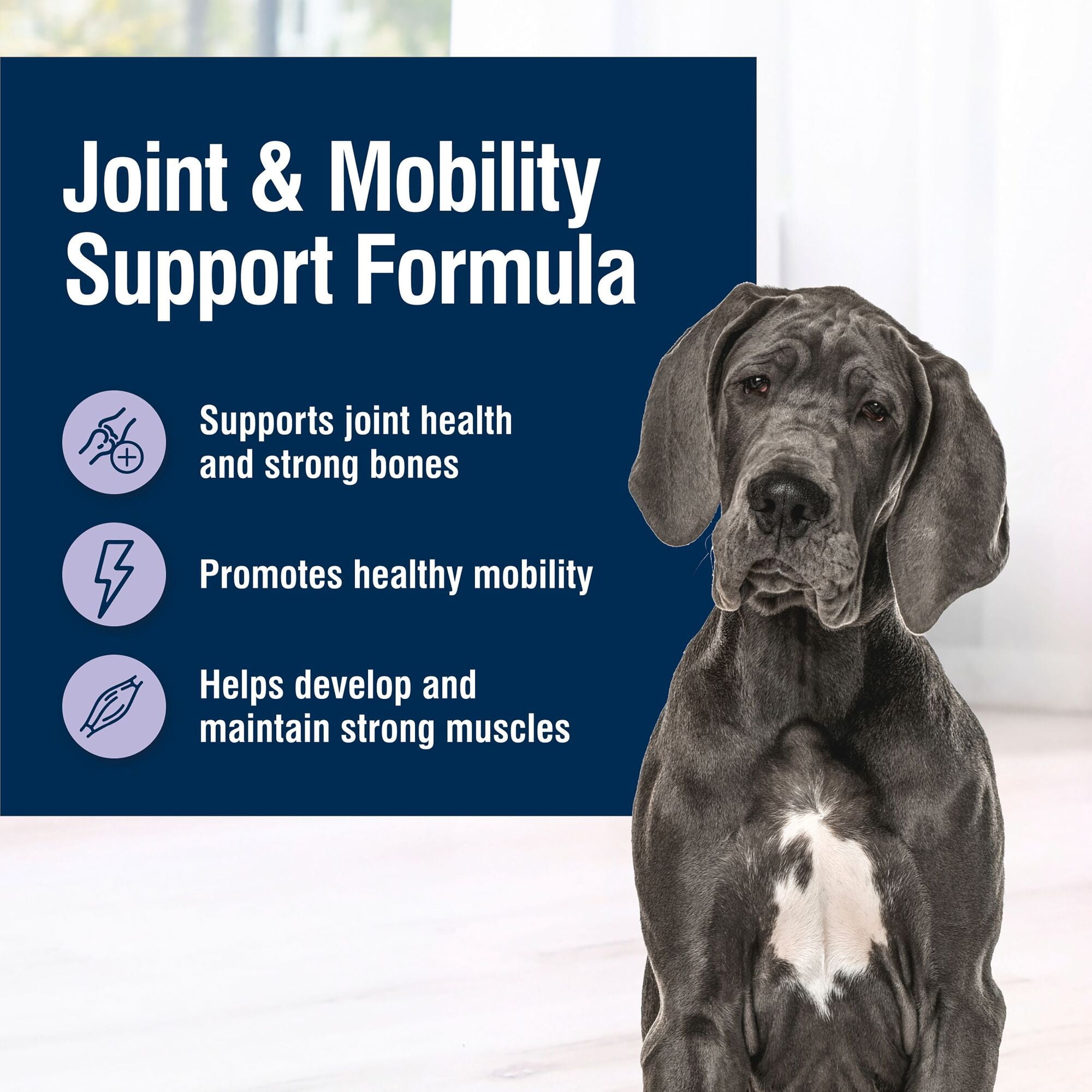 BLUE True Solutions Jolly Joints Mobility Care Adult Dog Dry Food, Chicken, 24-lb. Bag