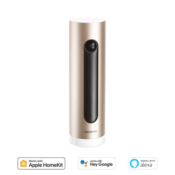 Camara de Seguridad Inteligente Netatmo para interior Netatmo NSC01-US