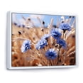 thumbnail image 2 of Designart "Cornflowers landscape III" Floral Floater Framed Canvas Print, 2 of 7