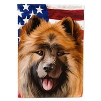 Carolines Treasures CK6519CHF Eurasier Dog American Canvas House Size Outdoor-Flags, Multicolor