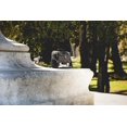 thumbnail image 4 of Carolina Panthers - Pranzo Lunch Tote by Picnic Time (Black), 4 of 4