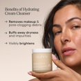 thumbnail image 2 of Crema fría hidratante Cleanser Alpyn con vitamina C y juneberry, 2 of 9