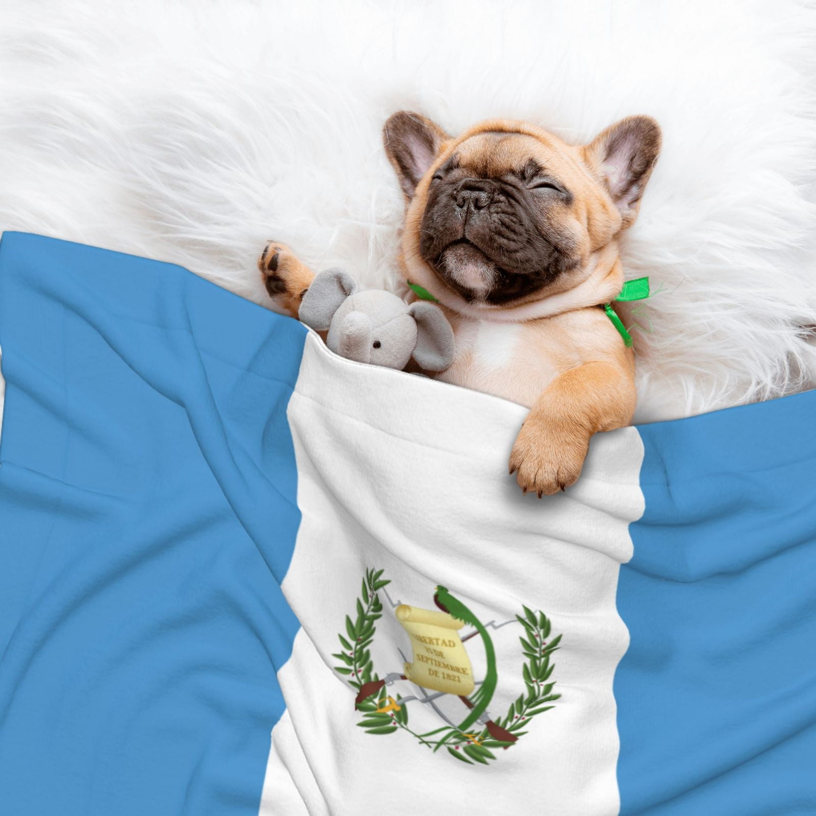 Flannel Throw Dog Blanket Flag Of Guatemala Soft Warm Print Pet Blankets for Small Dog Cat Puppy