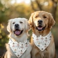 thumbnail image 2 of Dog Bandana 2 Pack,Ballet Princess Pattern Bandanas for Dogs,Cat Bandana,Small/ Large Dog Bandana 2 Size,Dog Bandanas, 2 of 6