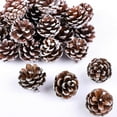 thumbnail image 4 of 30 Piezas 3-4 Cm Mini Conos de Pino Navideño Piñas Navideñas Conos de Pino Blanco Otoño Acción de Gracias Navidad, 4 of 4
