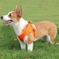 thumbnail image 3 of Flmtop Traction Rope 360 Degree Reflective Design Explosion Proof Polyester Pet Dog Chest Strap for Outdoor Black, 3 of 9