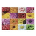 thumbnail image 1 of Flower Cutting Board, Chrysanthemum Rose Sunflower Violet Colorful Flowers Romance Bridal Plants, Decorative Tempered Glass Cutting and Serving Board, Large Size, Orange Yellow Pink, by Ambesonne, 1 of 1