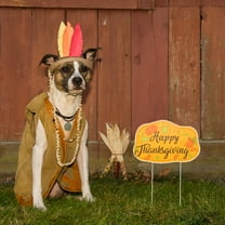 ULTNICE 1pc Thanksgiving Outdoor Decorations Yard Multi-colored Plastic Table Decoration