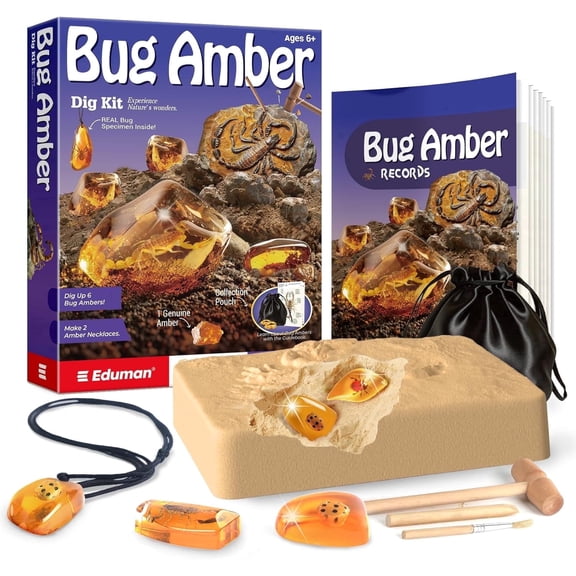 Piano Potato Bug Amber Ddig kit | Dig kit for kids | Real Insect Specimen Fossil Dig Kit with Genuine Amber, DIY Necklace Making, STEM Archaeological Science Kit for Boys Girls Ages 6-12