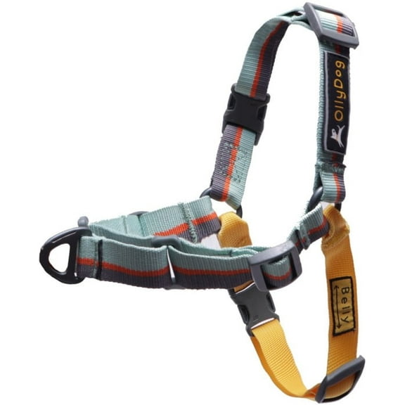 OllyDog Essential Harness Surf