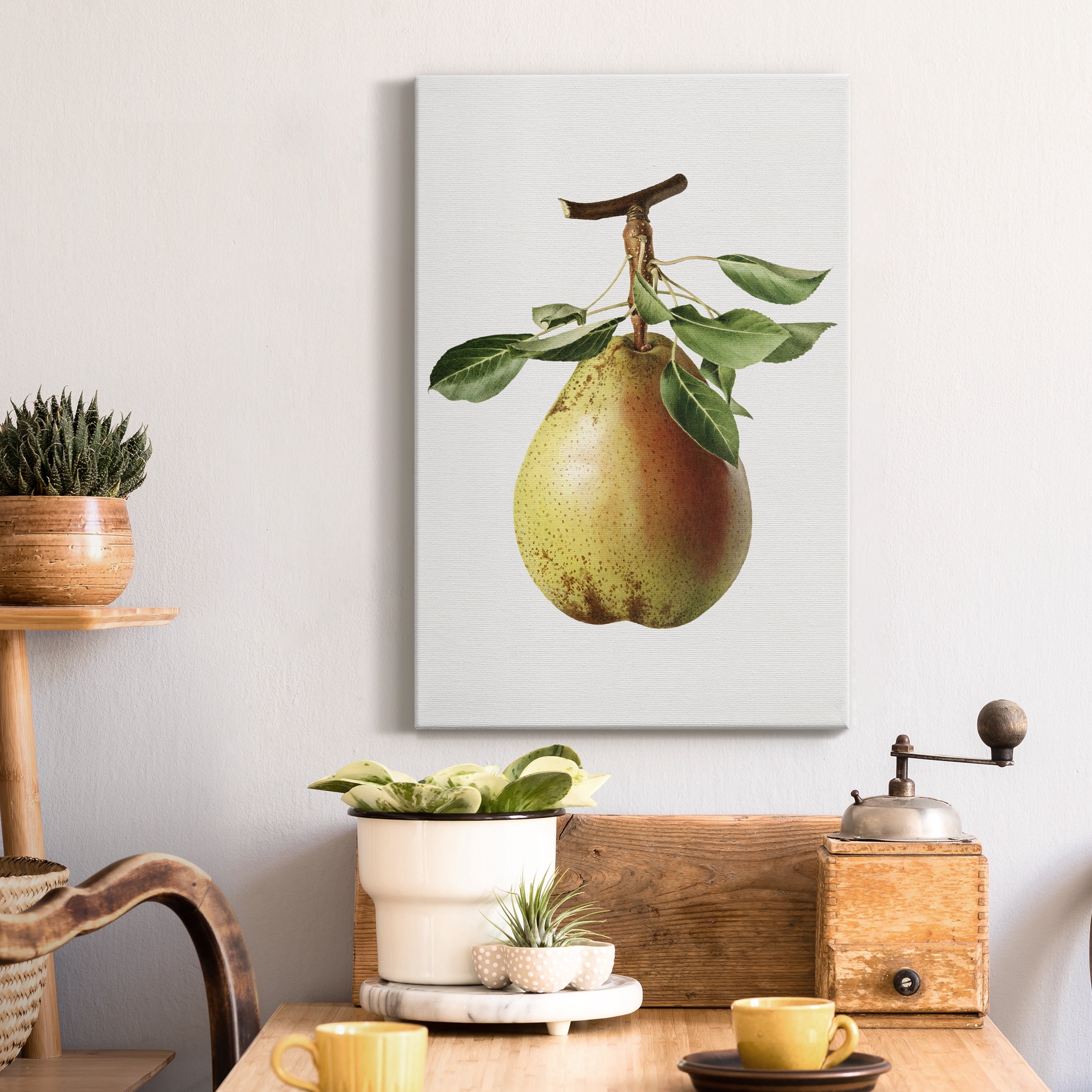 Vintage Pear Illustration II Premium Gallery Wrapped Canvas - Ready to Hang - 40 x 60