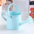 thumbnail image 2 of Metal Watering Gardening Tools Sprinkled Irrigation Spray Bottle, 2 of 5