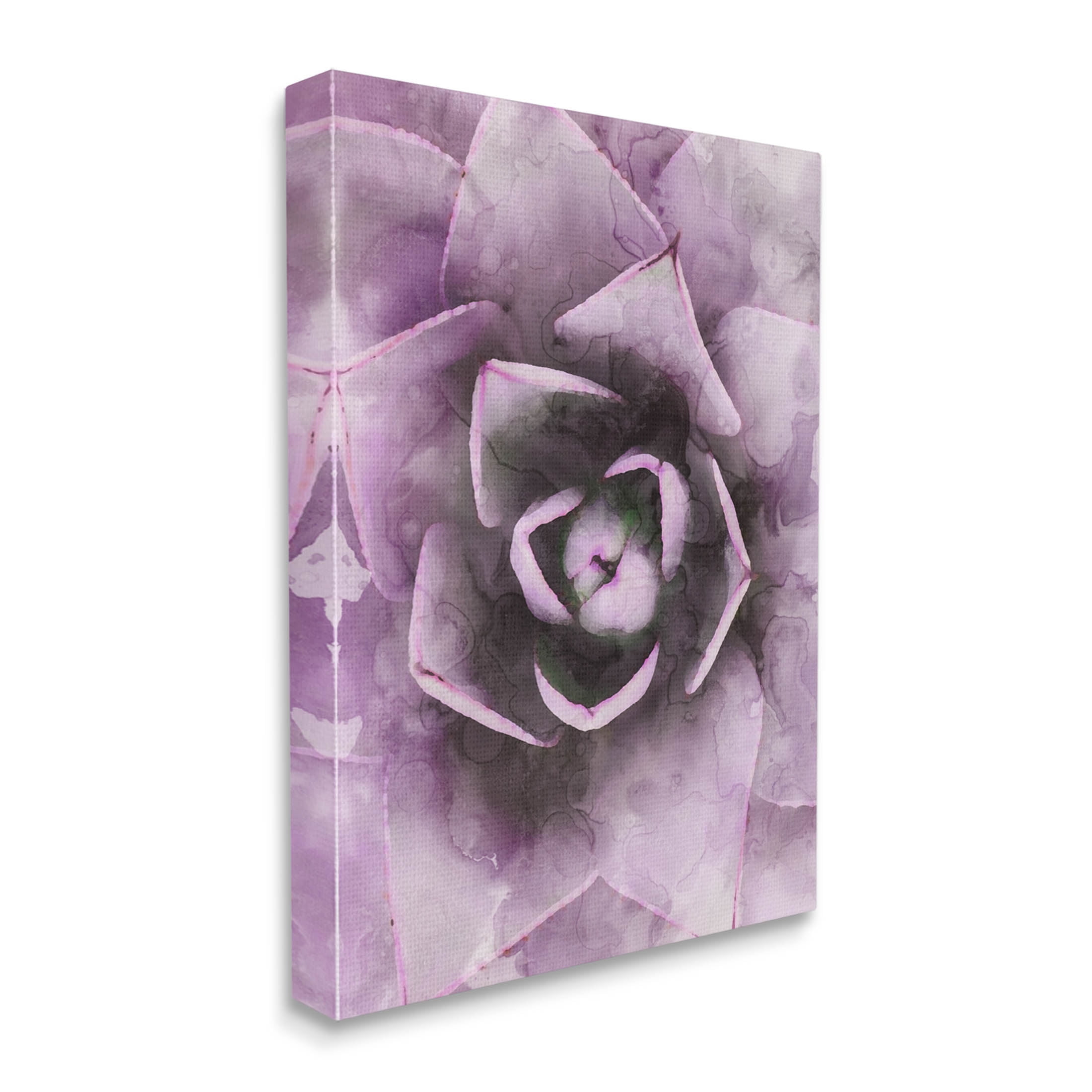 Modern Purple Succulent Leaves Botanical & Floral Graphic Art Gallery Wrapped Canvas Print Wall Art